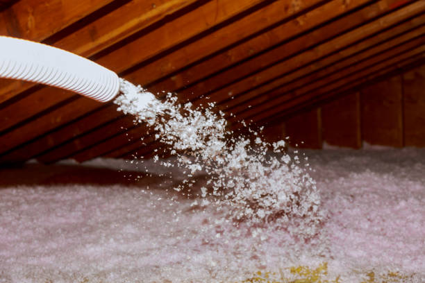 Best Attic Insulation Near Me  in Westlake Vlage, IL
