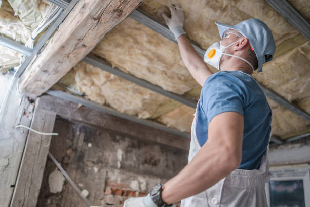 Attic Insulation Near Me in Westlake Village, IL