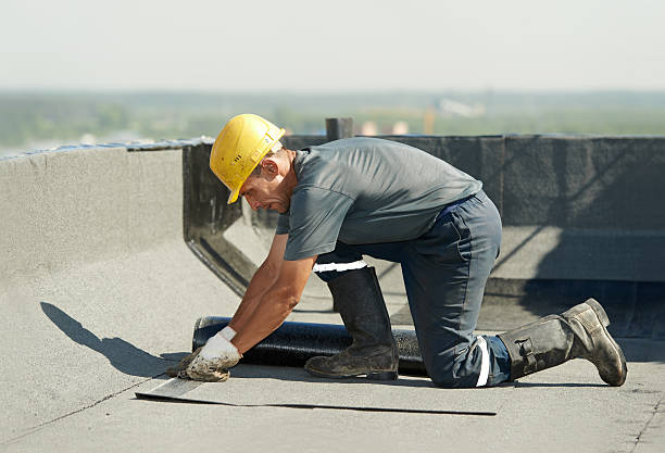 Best Home Insulation Services  in Westlake Vlage, IL