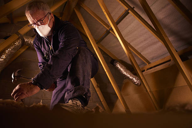Best Affordable Insulation Services  in Westlake Vlage, IL